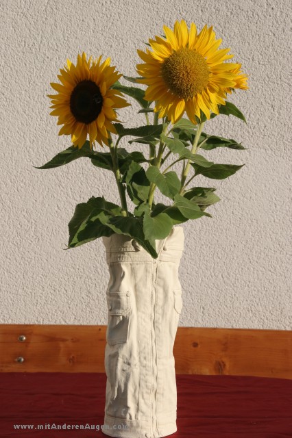 Jeans Vase ohne Jeans